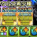 【パズドラ】ラギアクルス希少種×命天龍ゼルクレア！ウルトラマンネクサスループで一撃２４０億＆２１０億＆２２５億！ジンオウガ亜種降臨！