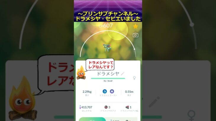 ドラメシヤ と セビエ GET ポケモンgo #ドラメシヤ #セビエ #ポケモンgo #pokemongo