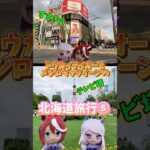 トウカイテイオーとメジロマックイーンの北海道旅行⑤ #ウマ娘プリティーダービー