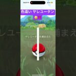 色違い ヤレユータン😳‼️ ゴリラ⁉️🦍🦍🦍   ポケモンGO