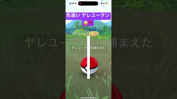 色違い ヤレユータン😳‼️ ゴリラ⁉️🦍🦍🦍   ポケモンGO