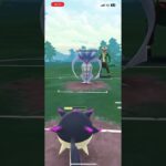 結構勝てる 環境ぶっ刺さりキャラ #gbl #ポケモン #ポケモンgo #shorts