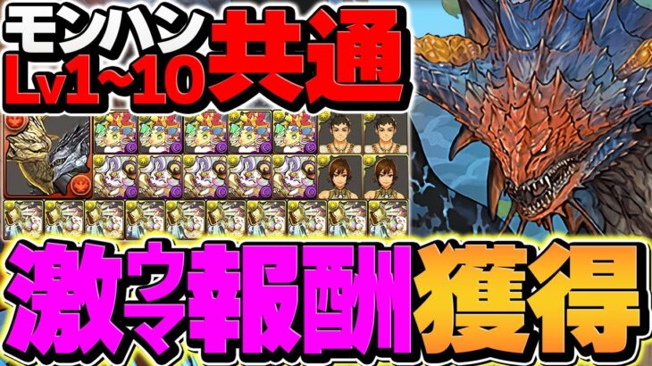 モンハンLV1-LV10を共通編成で攻略！激ウマ報酬&魔法石20個をゲットしよう！初級編&上級編【パズドラ】