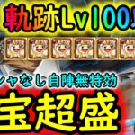 [トレクル]海賊王への軌跡VSクザンLv.100以上! お宝超盛! 自陣最新ガシャなし無特効編成で周回! 道中Lv.1桁固定で全3戦周回可[OPTC]