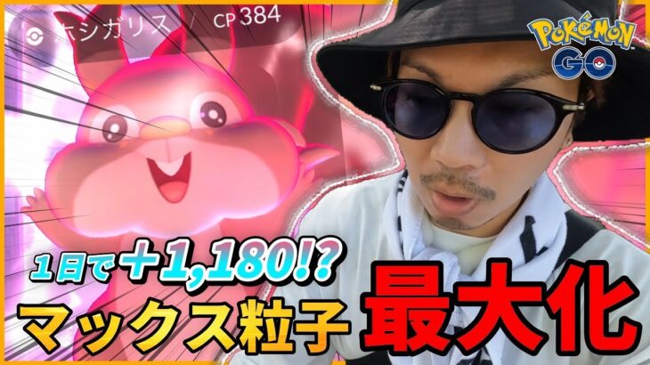 【ポケモンGO】1日でマックス粒子＋1,180！？「あの色違い」の進化が衝撃すぎた！！マックス粒子の謎はすべて解けた！！【ホシガリス】