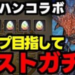 【ガチャ動画】コンプ目指してモンハンコラボラストガチャ！【パズドラ】