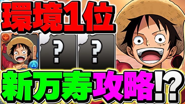 【環境１位】ルフィ最強テンプレで新万寿攻略！これ組めたら誰でも最強に！！【パズドラ】