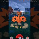 【ポケモンGO】ガラルサンダーみーつけた！#Pokémon #ポケモン #ポケモンgo #ポケgo #PokémonGO #shorts