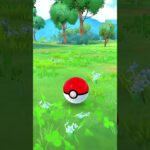 【色違い】バケッチャ【ポケモンGO】