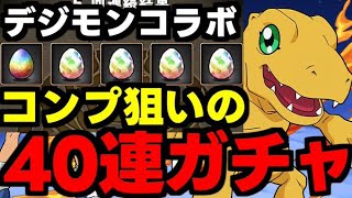 【ガチャ動画】コンプ狙いでデジモンコラボ40連ガチャ！【パズドラ】