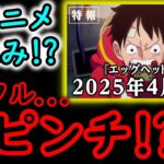 [トレクル]大ピンチ!!? ワンピースのアニメ「エッグヘッド編」お休みを受けてトレクルの年末年始やアニバ等大丈夫か!? 今後登場しそうなキャラについて予想妄想[OPTC]