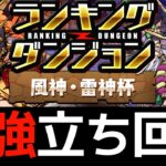 【風神雷神杯】再現性高め即18万点！ランダン風神雷神杯の王冠用立ち回り解説【パズドラ】