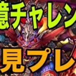 十億チャレンジ、初見プレイ。【パズドラ】