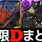 【10月クエスト】Lv11,12,13のずらし編成まとめ！Lv14は簡易アンジェリーナで攻略！ネロミェール！ネルギガンテ強し【パズドラ】