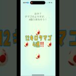 [ポケモンGO]12キロタマゴ4連‼️何が出るかな！？#ポケモンgo #shorts