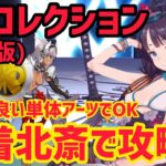 【FGO】水着北斎で攻略 カイニス&キリシュタリア戦 第23節進行度2 スーパーリコレクションクエスト(強化版)【星間都市山脈オリュンポス】