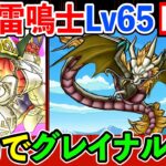 【ドラクエウォーク】天地雷鳴士Lv65到達！　全力でグレイナルにぶつけた結果。。。