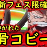 [トレクル]新フェス限受け継がれた「拳骨」コビー来る!? 注目の「19日20日」について気になる事２つ[OPTC]