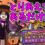 【ハロウィン】ガチャ～見慣れた顔ラッシュ…！～【パズドラ実況】