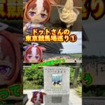 メイショウドトウ(ドットさん)の東京競馬場巡り① #ウマ娘プリティーダービー #ぬいぐるみ