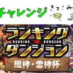 ランダン引退チャレンジ風神雷神杯【パズドラ】