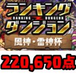 【パズドラ】ランダン 風神・雷神杯 初日 220,650点 0.1%