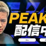 PEAK部【荒野行動】