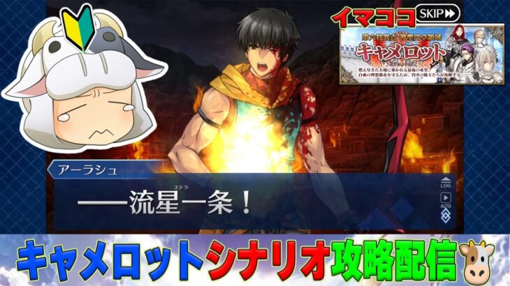 【FGO】今、好きなキャラを聞かれたらアーラシュと答える🐮そんな単純牛のキャメロット攻略！アドバイス大歓迎🔰FGO初心者のシナリオ奮闘戦記９🐮【🔴LIVE配信】