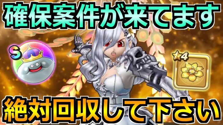 【ドラクエウォーク】スペシャルウォークDAY2回目の開催へ！確保案件も来てます！