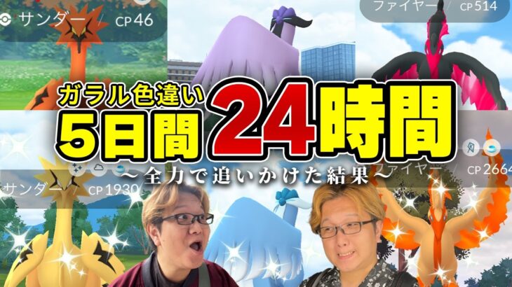 色違いガラル三鳥は何匹出る?おさんぽおこうを24時間分ぶん回した結果がこちらです…!!【ポケモンGO】