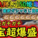 [トレクル]海賊王への軌跡VSクザンLv.150! メインCHでやったお宝爆盛ガチ編成の立ち回り変更Verを試してみた[OPTC]