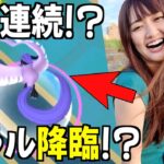 クルミルコミュデイをやりながら、おさんぽおこうから今日もガラル三鳥降臨!!??【ポケモンGO】