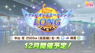 【ウマ娘】有馬記念チャンミに向けた追検証と考察していこう【チャンピオンズミーティング】