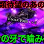 【運営も絶賛】誰もが諦めたあのくs…神器での奇跡を起こしました。震えが止まりません【ドラクエウォーク】【ドラゴンクエストウォーク】