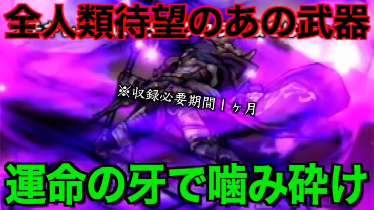 【運営も絶賛】誰もが諦めたあのくs…神器での奇跡を起こしました。震えが止まりません【ドラクエウォーク】【ドラゴンクエストウォーク】