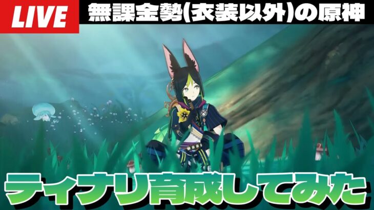 【原神】別にセトス引けないからとかじゃないけどティナリ育成始めました～初見さん大歓迎～【Genshin Impact】