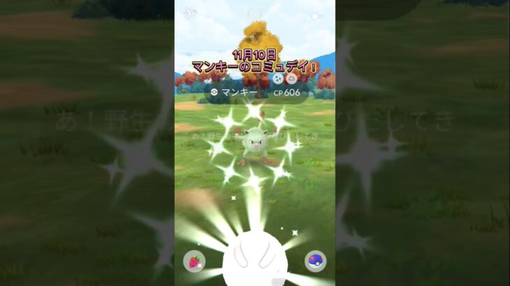 マンキーのコミュニティデイ！色違いもシャドウも！ポケモンGO！Pokemon GO！