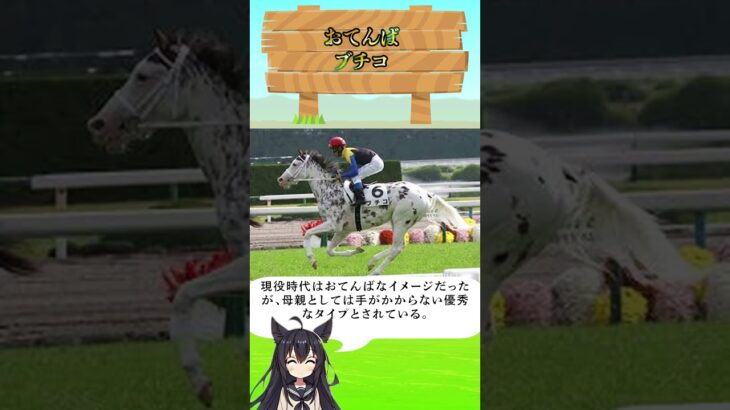 おてんばブチコさん#ウマ娘 #ウマ娘プリティーダービー #jra #競馬