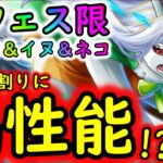 [トレクル]新フェス限キャロット＆イヌアラシ＆ネコマムシ来る! まさかの新性能で…●●な方はゲットしておいた方がいいのかもしれない[OPTC]