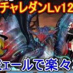 11月チャレダンLv12＆14をネロミェールで楽々攻略！【パズドラ】