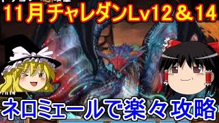 11月チャレダンLv12＆14をネロミェールで楽々攻略！【パズドラ】