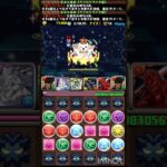 【同キャラ禁止】たまプラカーニバル：マルチ4スキップ #パズドラ #無音 #A完結断念