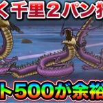 【ドラクエウォーク】コスト500じごくのつかい千里を一瞬で消し炭にしてしまう超火力。恐ろしい武器だわ、、（）