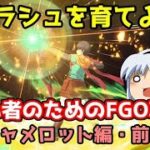 今からでも間に合う！初心者のためのFGO攻略　キャメロット編・前編