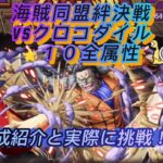 海賊同盟絆決戦VSクロコダイル　⭐︎１０全属性の編成紹介と実際に挑戦する！！？