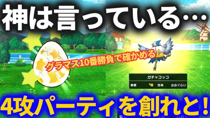 【ドラクエウォーク】神は言っている。4攻パーティを創れと！！【なまかモンスター】【モンスターグランプリ】