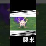 シャドウマンキーの高個体ゲット‼️🔥#shorts #ポケモン #ポケモンgo