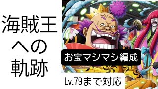 トレクル 海賊王への軌跡 自陣最新特攻キャラ無し お宝マシマシ編成(Lv.79まで対応)