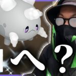 【ポケモンGO】ちょ・・・エグすぎん？？色違いガラルサニーゴを生み散らせ！！ワンワンよりも俺はレジドラゴをなんだよ・・・！！【マックスアウトフィナーレ】