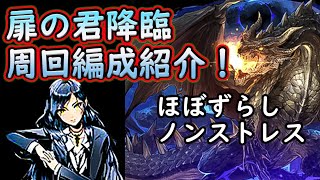 扉の君降臨！ミラボレアス周回編成紹介！！アシスト簡単！！【パズドラ】